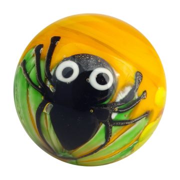 Spin 16mm