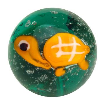 Zeeschildpad 22mm