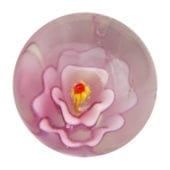 Stokroos - roze 16mm