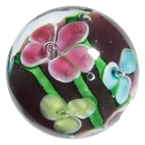 Petunia 16mm