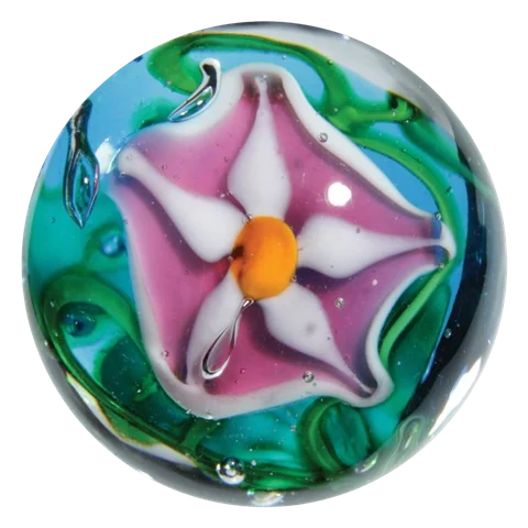 Stargazer 22mm