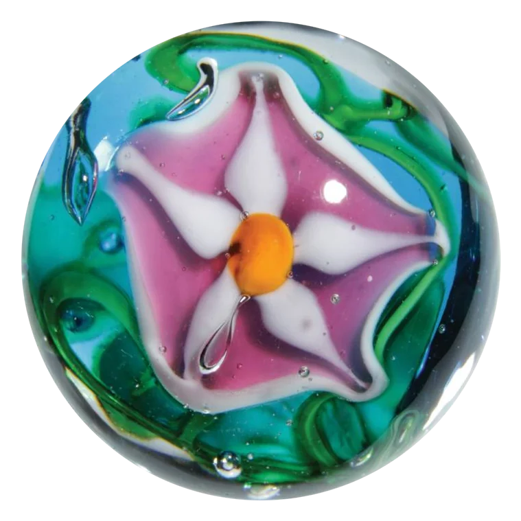 Stargazer 16mm