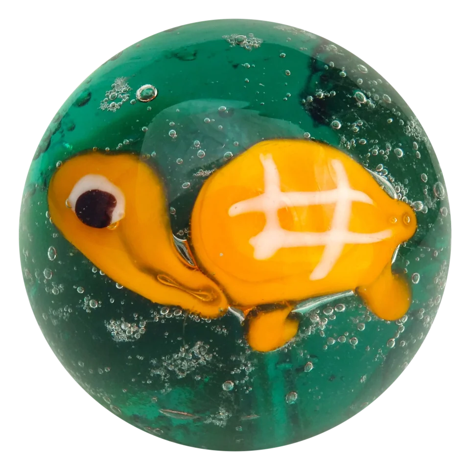Zeeschildpad 22mm