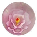 Stokroos - roze 16mm