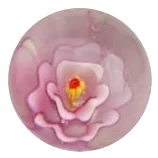 Stokroos - roze 22mm